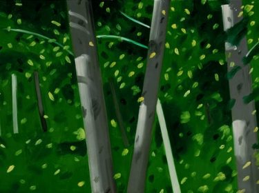 Woods
