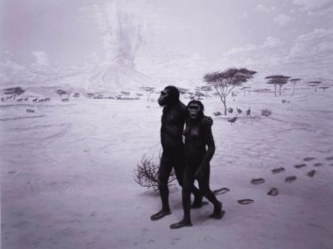 Earliest Human Relatives Photo