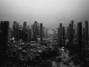 Permian Period Photo