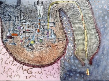 Disasters of War No.77  