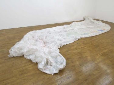 Unpreventable Within (and detail)