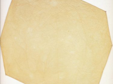 Tan Octagon